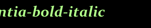 Constantia-Bold-Italic.ttf