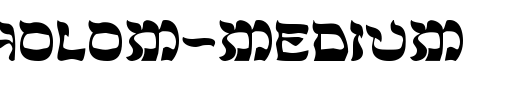 DS-Sholom-Medium.ttf