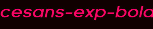 Florencesans-Exp-Bold-Italic.ttf