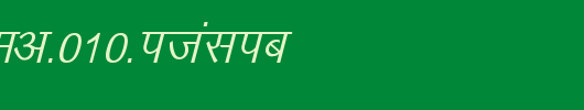 Kruti-Dev-010-Italic.ttf