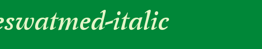 LatienneSwaTMed-Italic.ttf