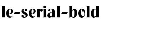 Nashville-Serial-Bold.ttf