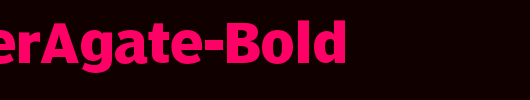 PoynterAgate-Bold_英文字体