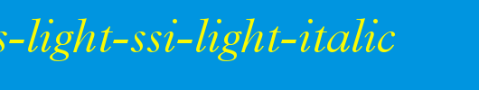 Terminus-Light-SSi-Light-Italic.ttf类型，T字母英文