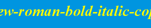 Times-New-Roman-Bold-Italic-copy-1-.ttf类型，T字母英文