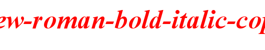 Times-New-Roman-Bold-Italic-copy-3-.ttf类型，T字母英文