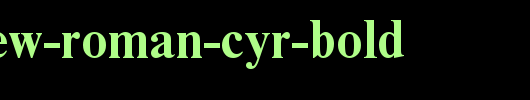 Times-New-Roman-Cyr-Bold.ttf类型，T字母英文