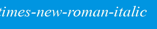 Turkish-Times-New-Roman-Italic.ttf类型，T字母英文